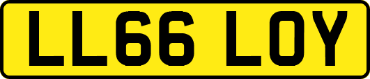 LL66LOY