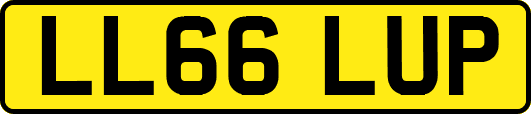 LL66LUP