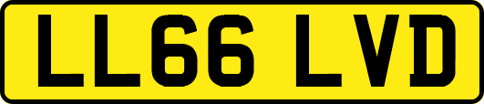 LL66LVD