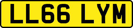 LL66LYM