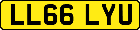 LL66LYU