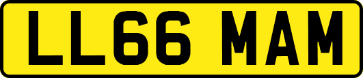 LL66MAM