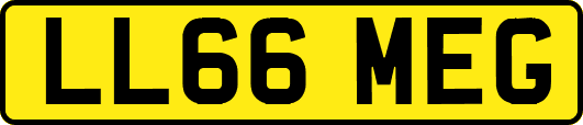 LL66MEG