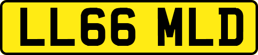 LL66MLD