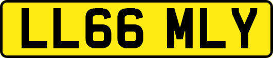 LL66MLY