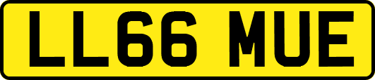 LL66MUE