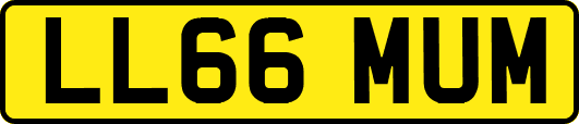 LL66MUM