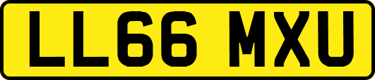 LL66MXU