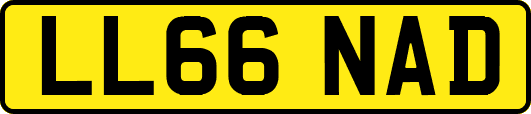 LL66NAD