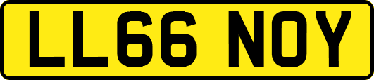 LL66NOY