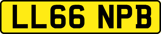 LL66NPB
