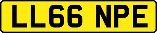 LL66NPE