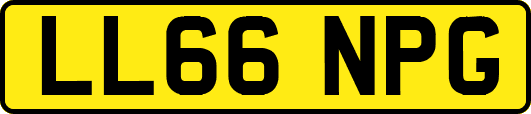 LL66NPG