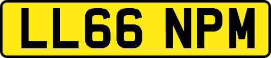 LL66NPM