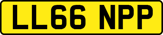 LL66NPP