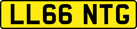 LL66NTG