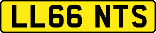 LL66NTS