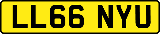 LL66NYU