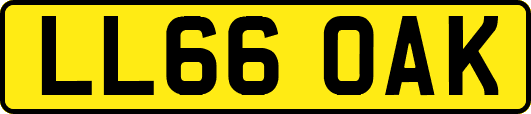 LL66OAK