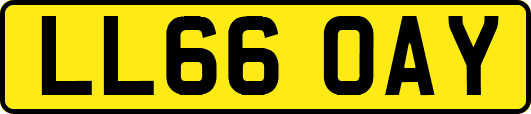 LL66OAY