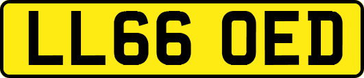 LL66OED