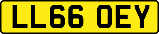 LL66OEY