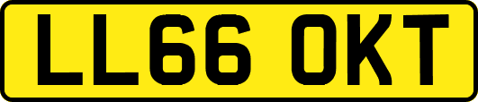 LL66OKT