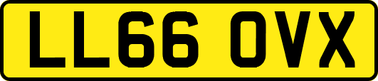 LL66OVX
