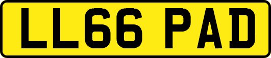 LL66PAD