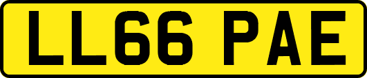 LL66PAE