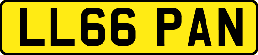 LL66PAN