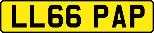 LL66PAP