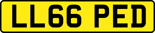 LL66PED