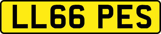 LL66PES