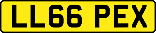 LL66PEX