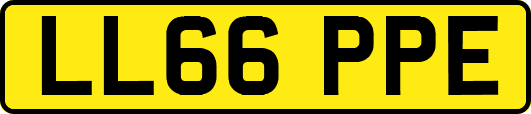 LL66PPE
