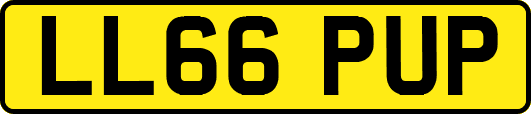LL66PUP