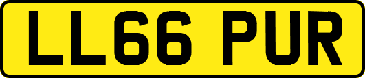 LL66PUR