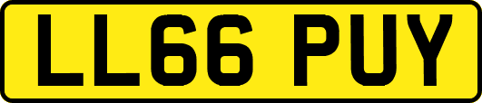 LL66PUY