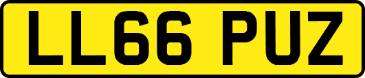LL66PUZ