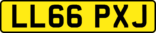 LL66PXJ