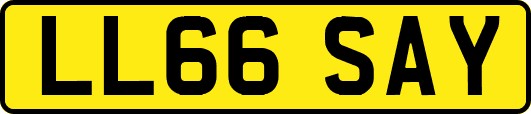 LL66SAY