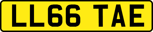 LL66TAE
