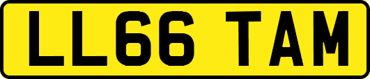 LL66TAM