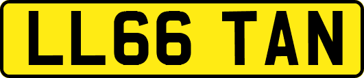 LL66TAN
