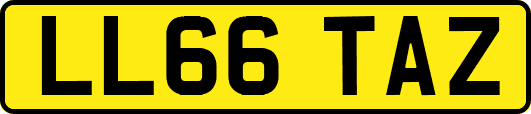 LL66TAZ