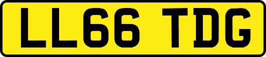LL66TDG