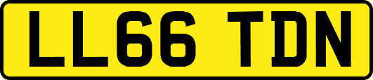 LL66TDN