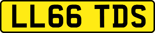 LL66TDS