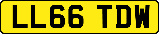 LL66TDW